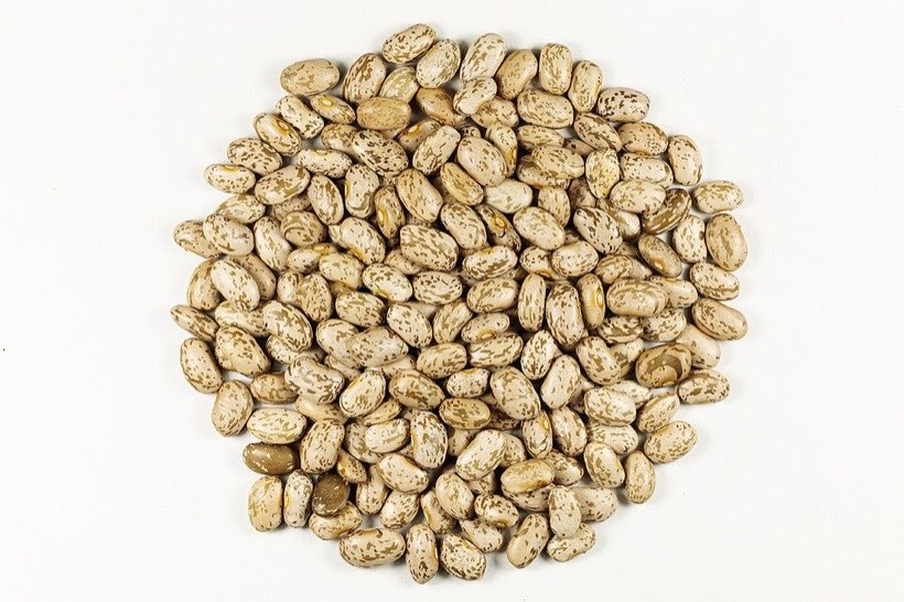 Seeds come in many shapes and sizes.