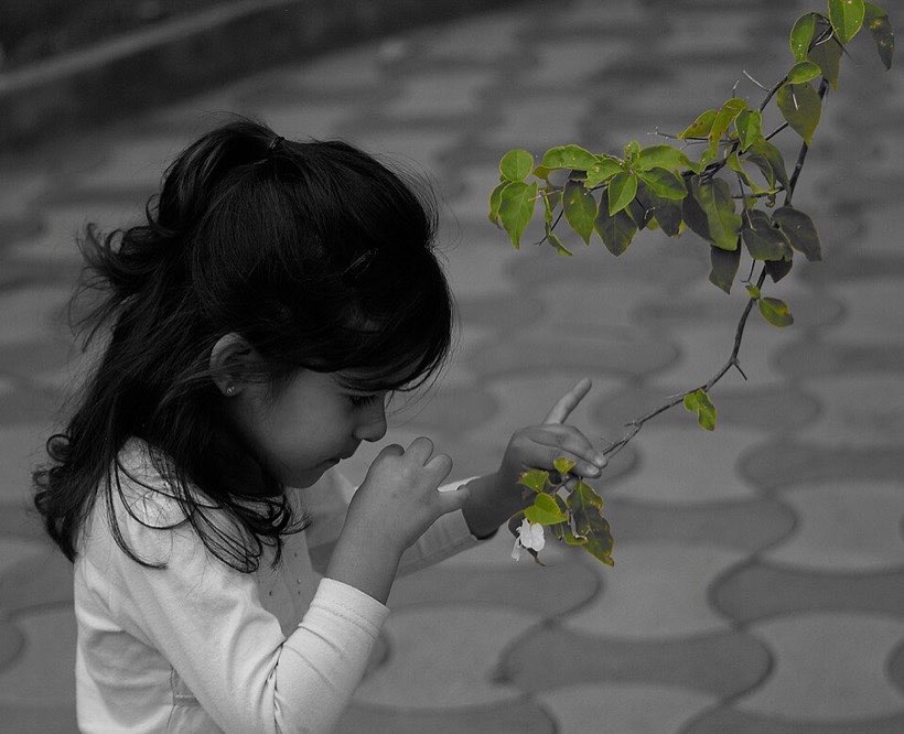 We use our senses all the time to learn about the world around us.