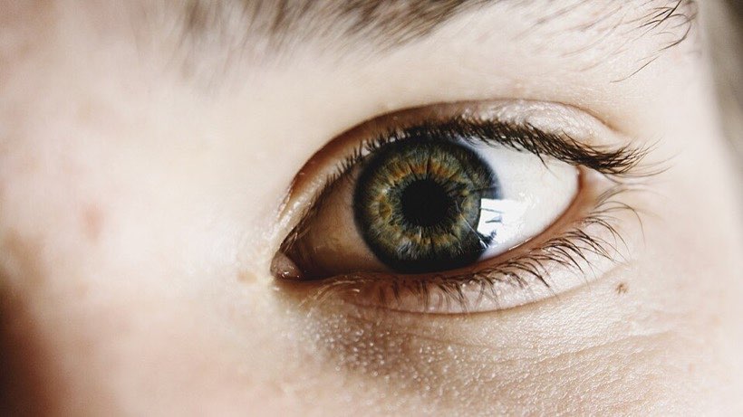 Light goes into the eye through the dark pupil.