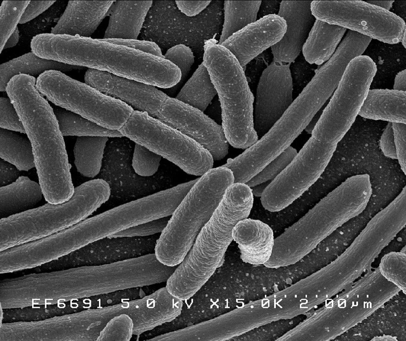 In the Germ Busters lab you can see how germs spread – and how to stop them.