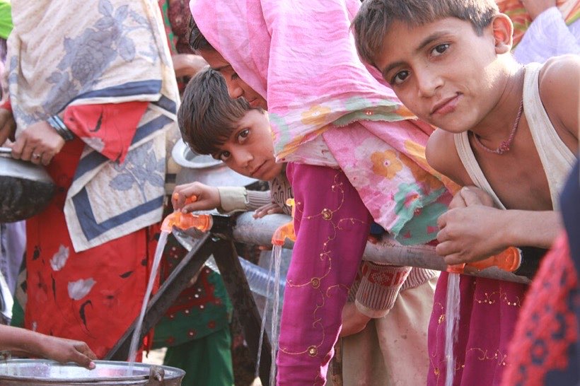 Plants, animals and people all need water to live.