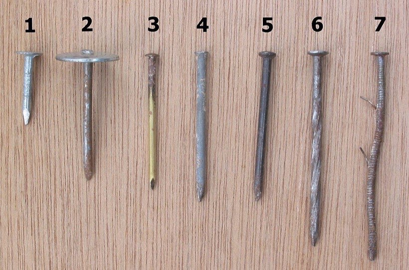 Test different metal objects with a magnet.