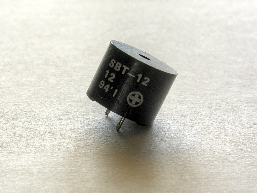 A buzzer component has a red wire and a black wire.