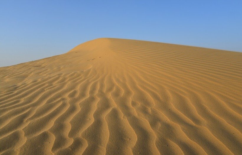 Deserts, forests, grasslands, oceans and the poles are all habitats.