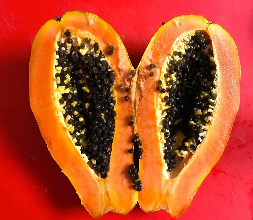 Cut a fruit open and you will usually find seeds inside.