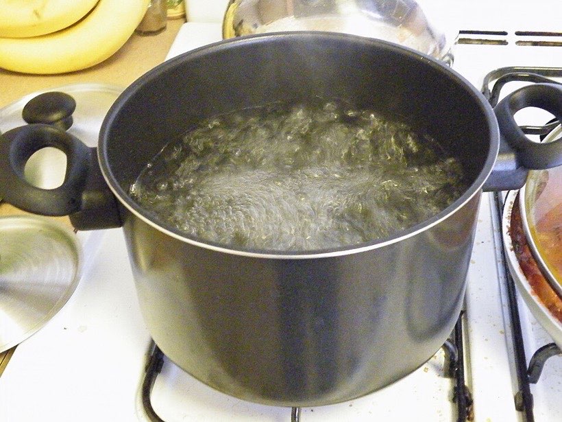 Bubbles of water vapour rise in a pan of boiling water.