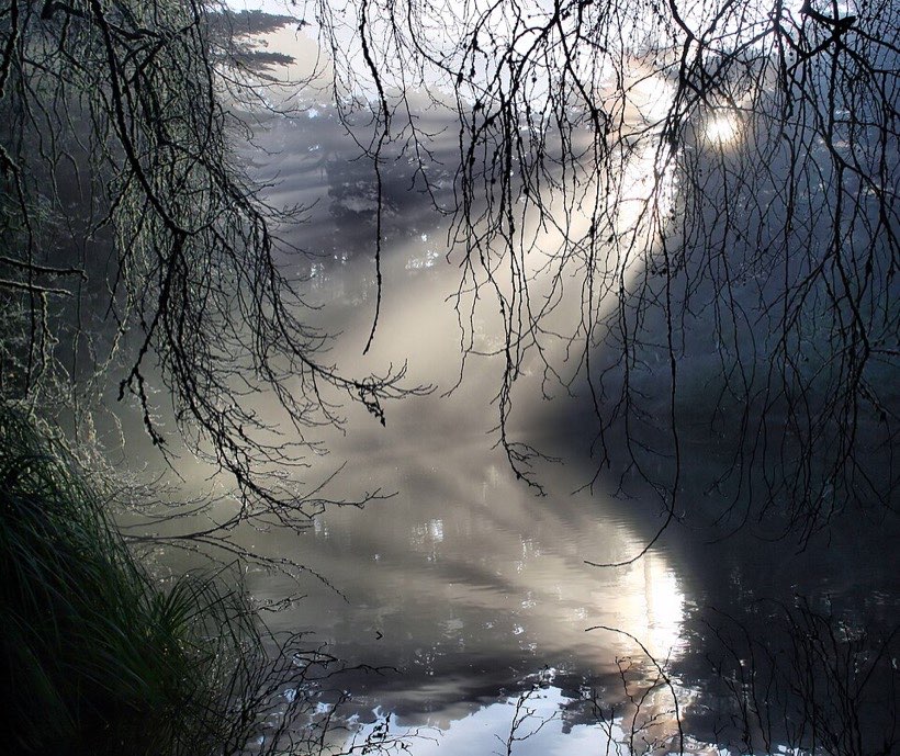 A still lake reflects the trees like a mirror.