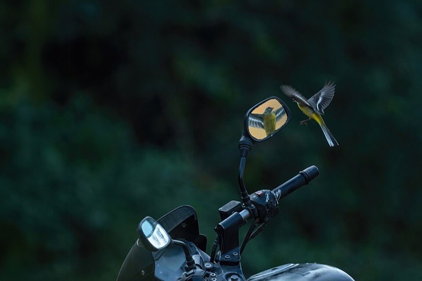 Motorbike mirrors show the rider what is behind.