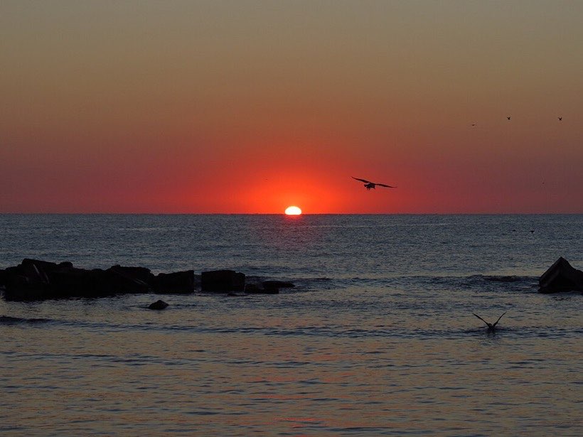 The Sun appears above the horizon at sunrise.