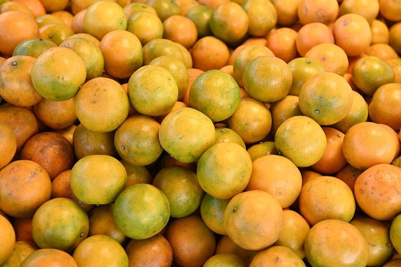 A big pile of oranges at a fruit stall.
