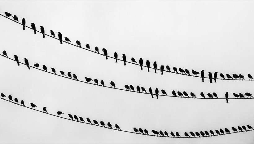 Birds on a wire. If some fly away, fewer are left.