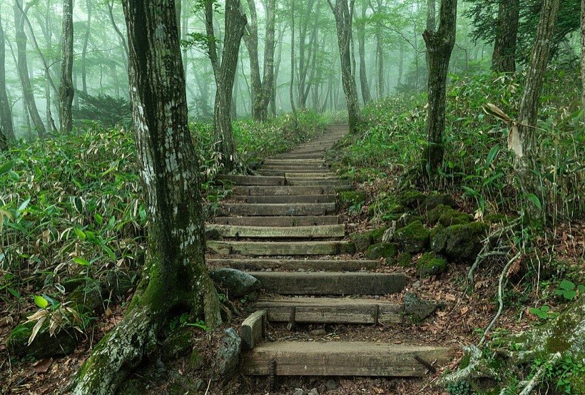 Each step on a staircase goes up by the same amount.