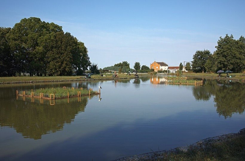 A pond in a park. The distance all the way round it is its perimeter.
