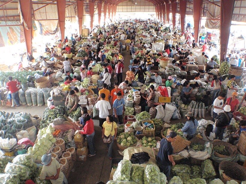 Vegetables sorted into separate piles.