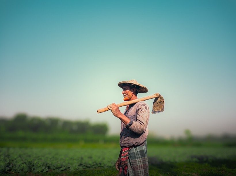 Farmers solve maths problems about land, seeds and harvests.