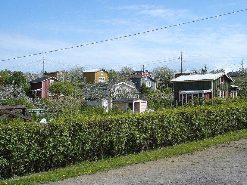 A garden split into plots for different plants.