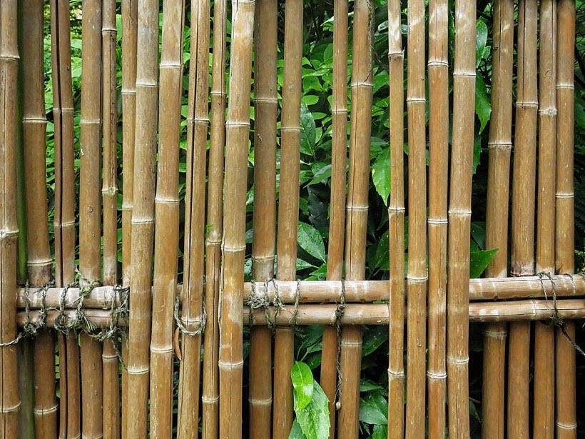 A bamboo fence around a home garden.