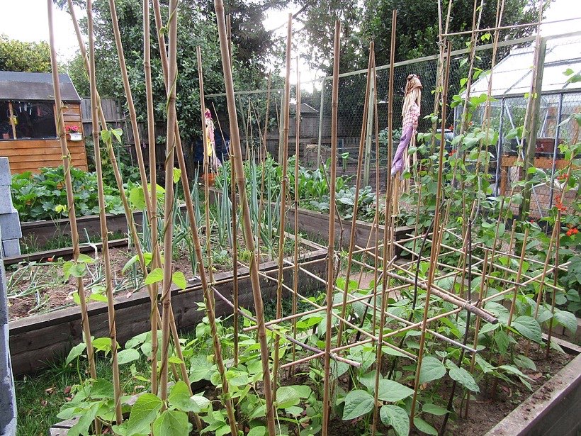 Vegetable plots are often parts of a bigger garden.